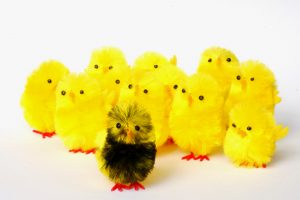 make-sure-your-branding-fits-your-platform