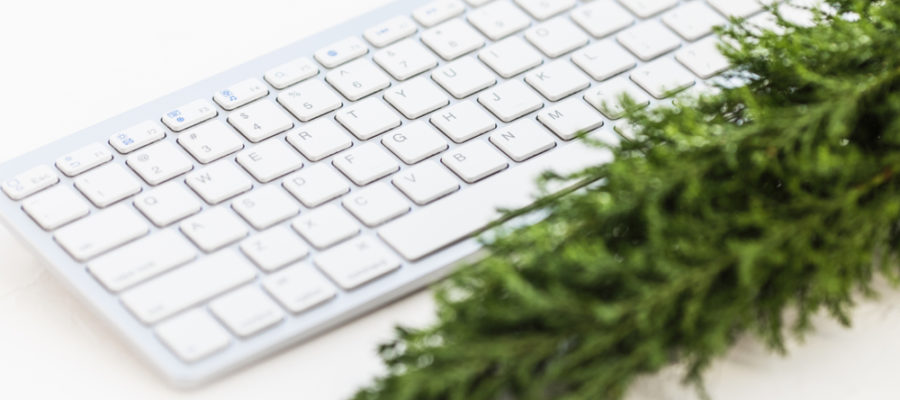 evergreen-tree-resting-near-a-keyboard-to-represent-evergreen-content