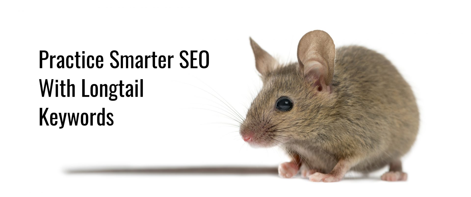 Practice Smarter SEO with Longtail Keywords