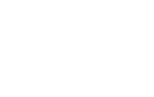 Dallas SEO Dogs