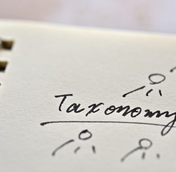Example of Taxonomy