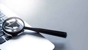 website-audit