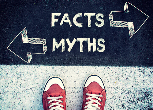 search-engine-optimization-myths